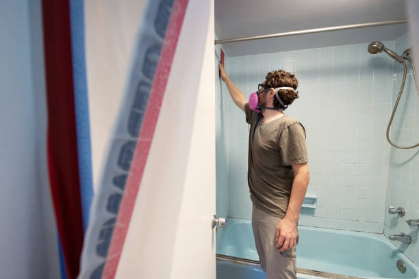 Best Asbestos and Lead Testing During Mold Inspection  in Bangor, PA