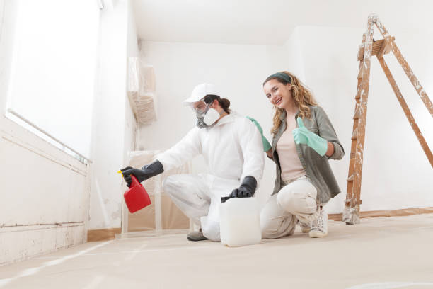 Environmental Consulting for Mold Prevention in Bangor, PA